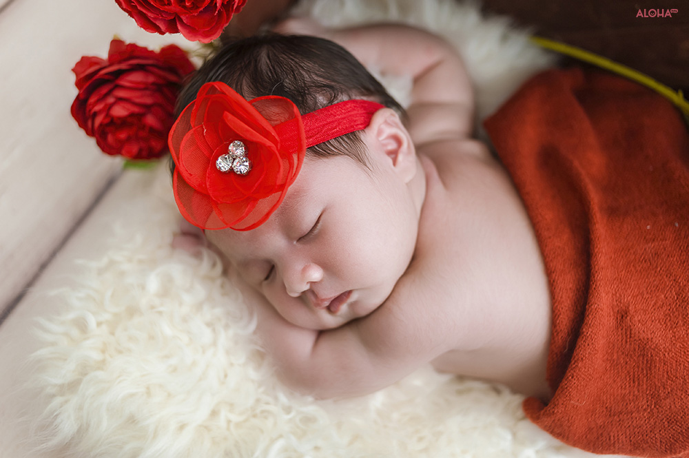 album ảnh newborn 26